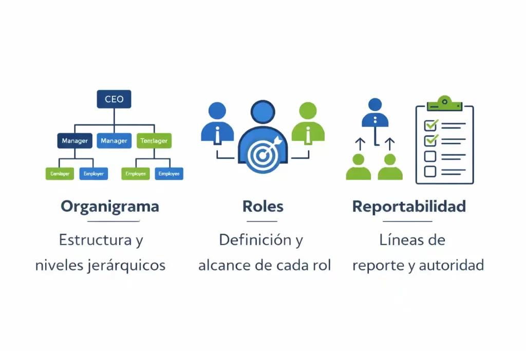 Infografía de consultoría organizacional mostrando organigrama, definición de roles y líneas de reportabilidad dentro de la estructura organizacional de una empresa